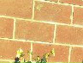 Айгуль Хаертдинова | Мишкино