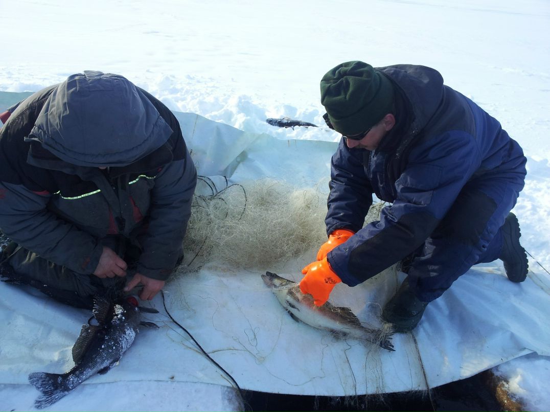 Игорь Груенко | Петрозаводск