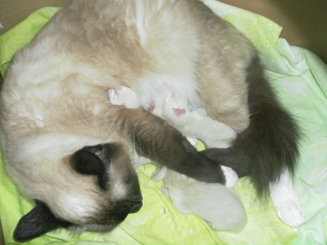 Катерина Низамутдинова | Нижневартовск