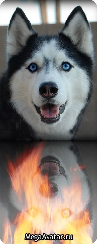 Александр Запорожский | Запорожье