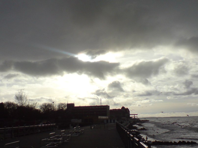 Светлана Шитикова-Гуськова | Калининград