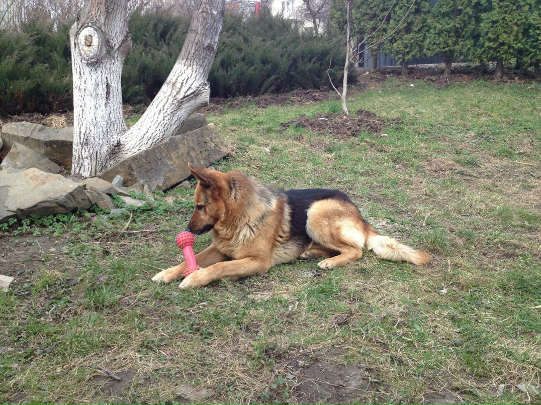 Стас Лопатинский | Иерусалим