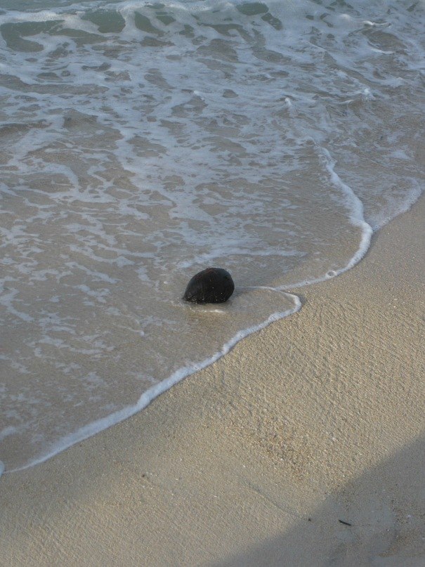 Феофана Ромашкина | Санкт-Петербург