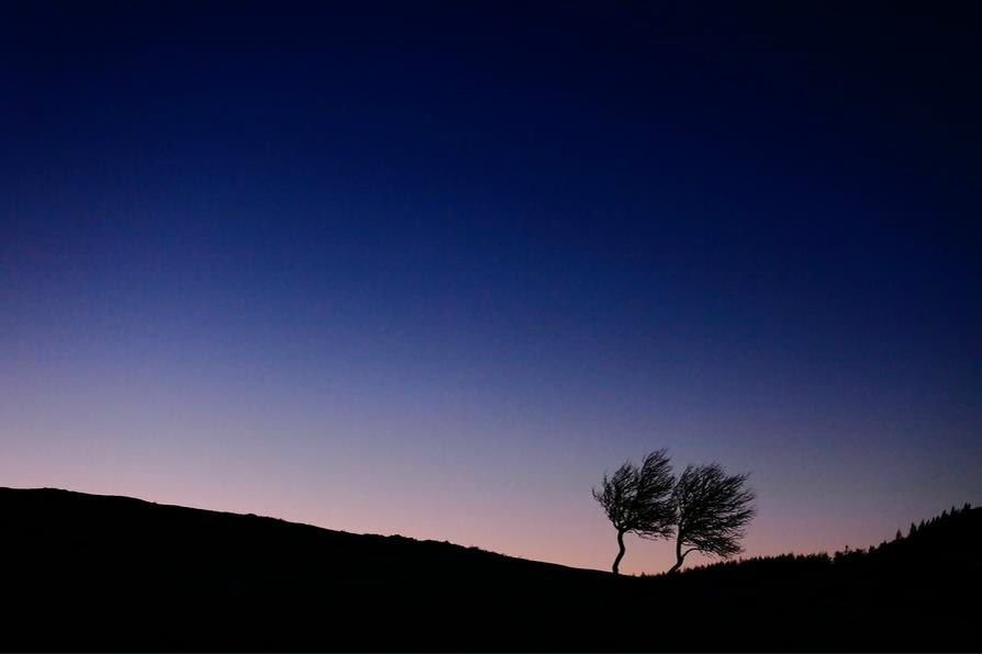 Дима Чайков | Гомель