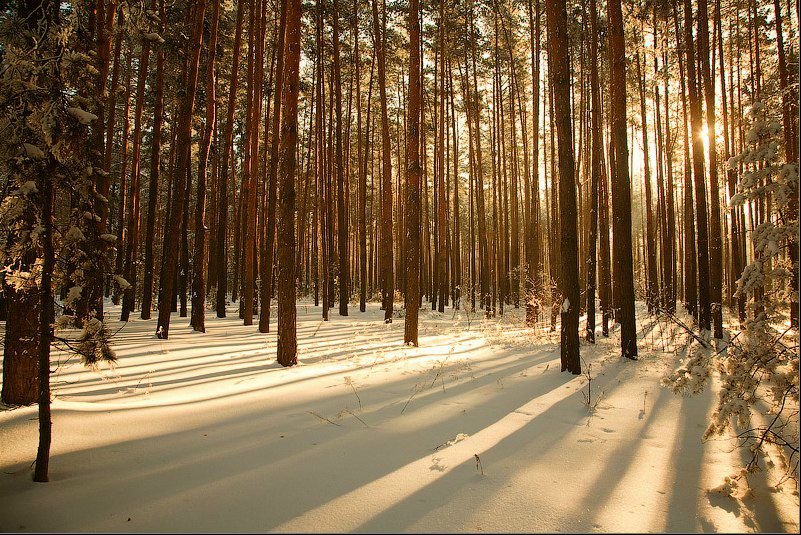 №136, Максим Пилипенко, 34 года, Севастополь №136, Максим Пилипенко, 34 года, Севастополь