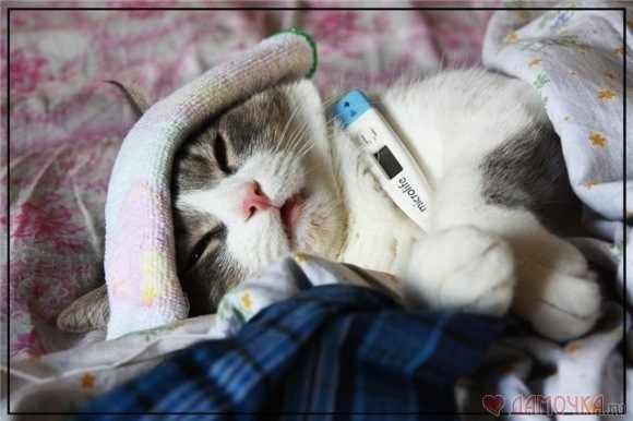 №96, Сергей Иванов, 91 год, Москва №96, Сергей Иванов, 91 год, Москва