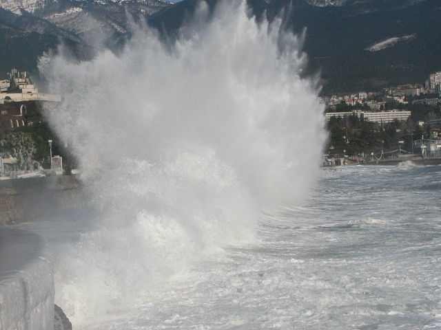 Елисей Бороздин | Ялта