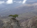 Фотография Пружиной Ирины