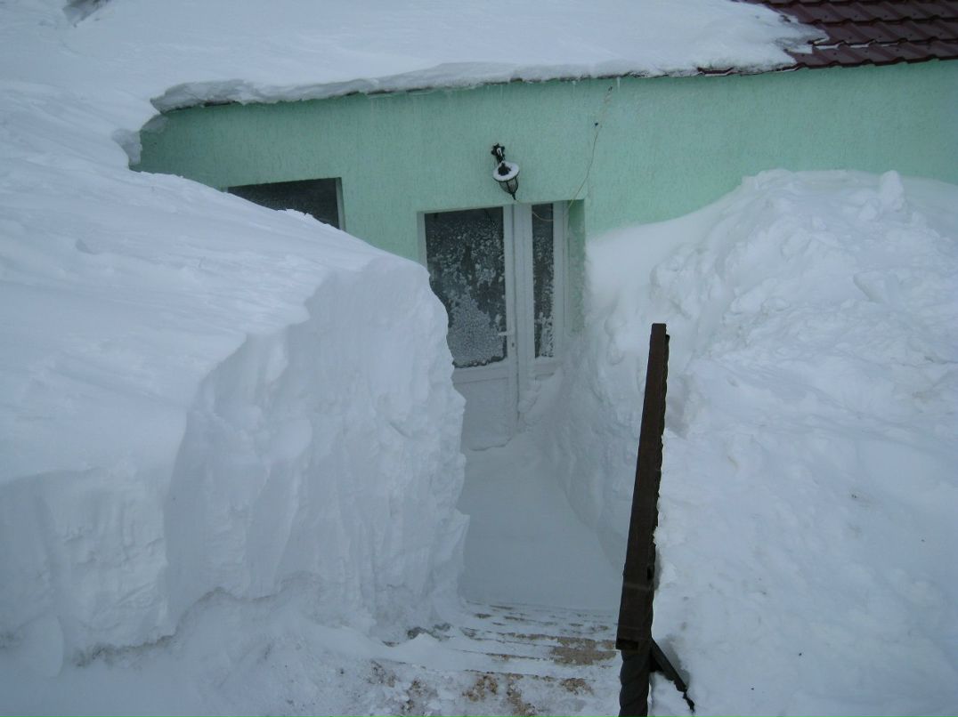 Александр Плачко just_shurik | Ялта