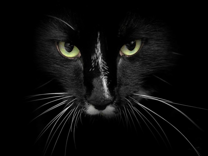 Даша Мартынова | Пенза