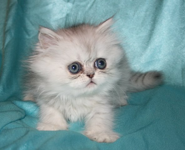 Ильсур Зайнуллин | Казань