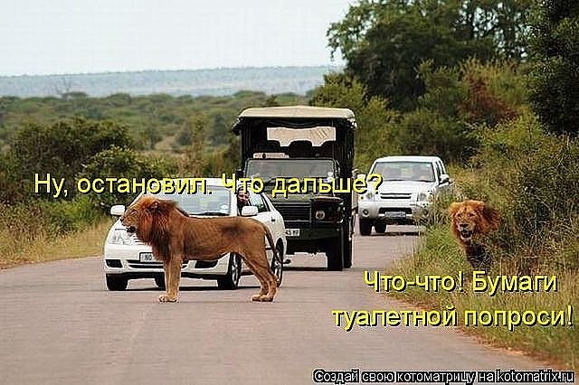 Алёна Замышляева | Луна