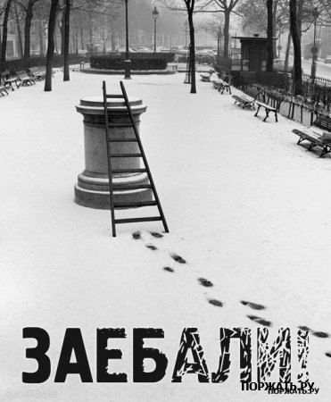 Шурик Ермашов | Реутов