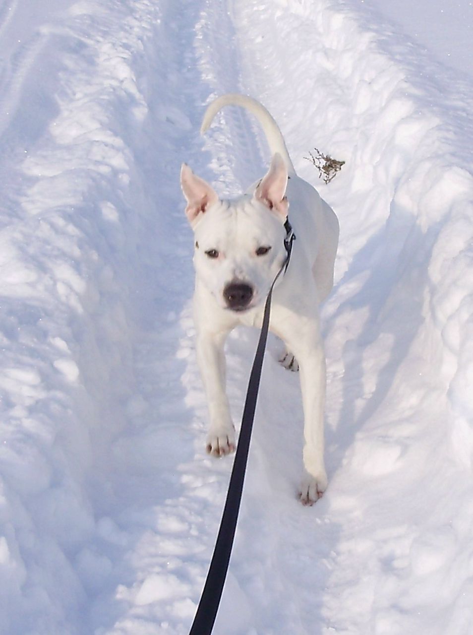 Татьяна Николаева | Санкт-Петербург