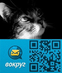 №6, Кирилл Латыпов №6, Кирилл Латыпов