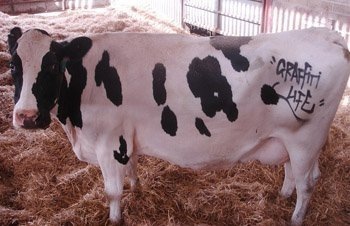 №106, Андрей Рублёв, Астрахань, Россия №106, Андрей Рублёв, Астрахань, Россия