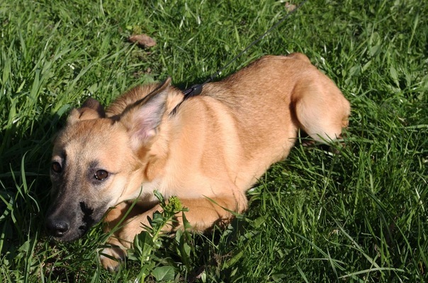 №44, Наталья Полева, Санкт-Петербург №44, Наталья Полева, Санкт-Петербург