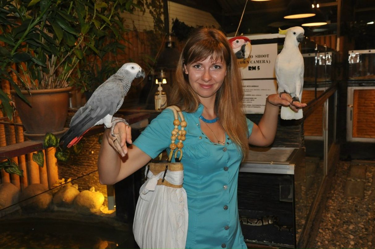 Наталья Чернышева | Сумы