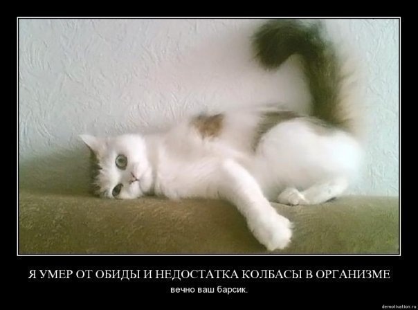 №118, Екатерина Романова, 40 лет, Железногорск №118, Екатерина Романова, 40 лет, Железногорск