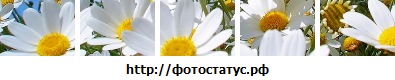 №167, Анастасия Стоянова, 32 года №167, Анастасия Стоянова, 32 года