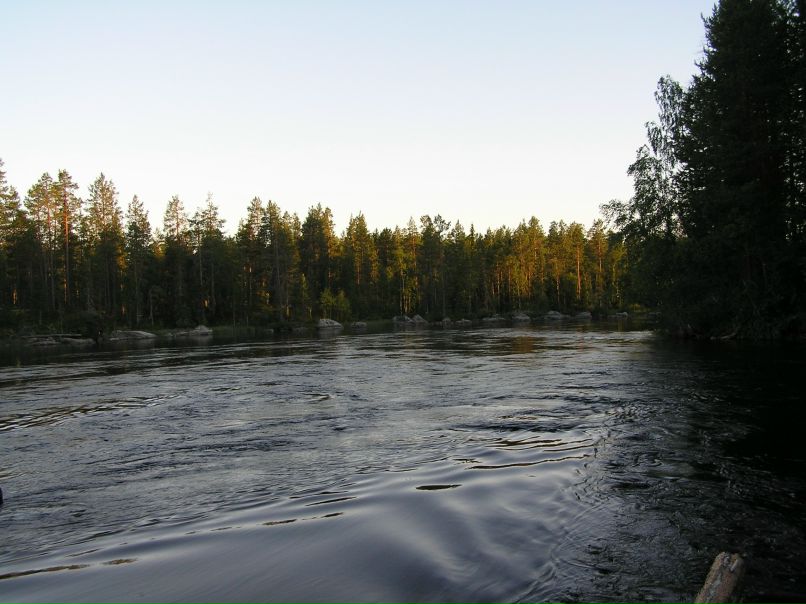 Андрей Жуков |̳̿В̳̿|контакте | Колпино