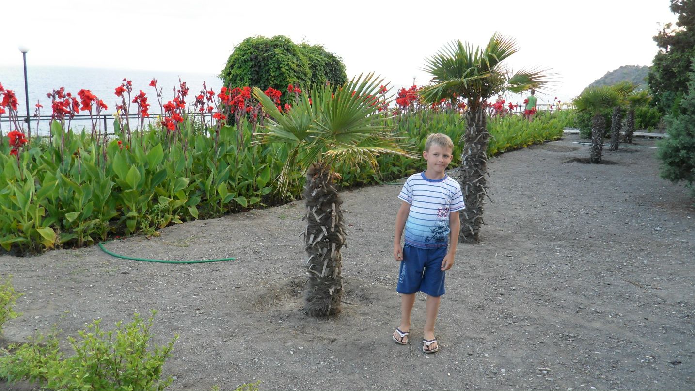 Илья Розгон | Винница