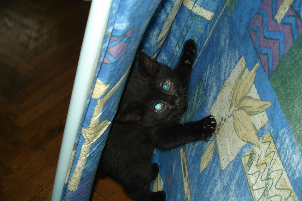 Georgii Stelmakh | Киев