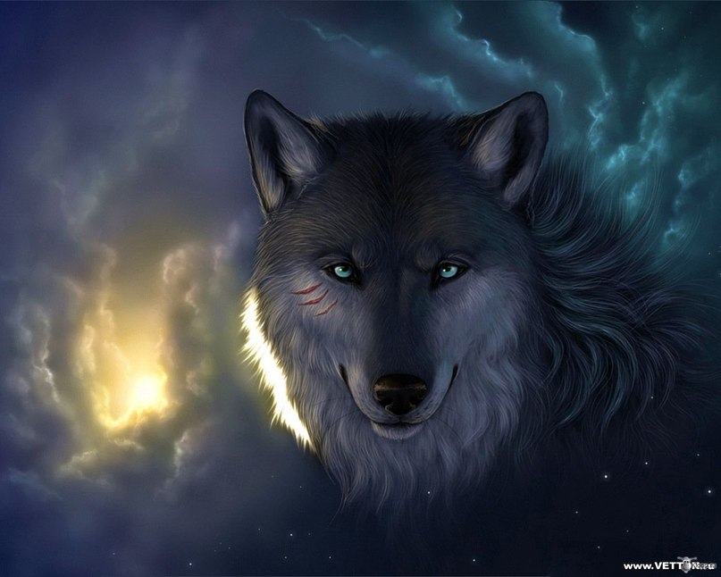 Серёга Николаев | Среднеуральск