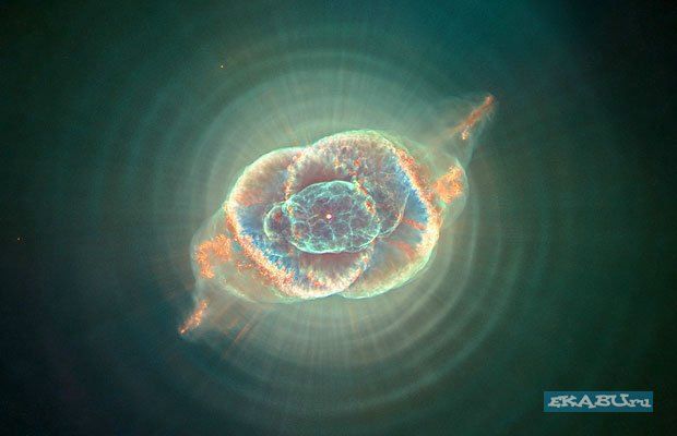 №10, Никита Масалов №10, Никита Масалов