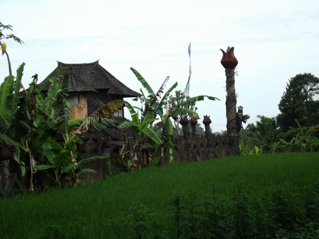 Ирина Зубкова | Тель-Авив