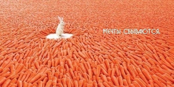 Александра Шелковникова ~ ICE~ | Las Palmas de Gran Canaria