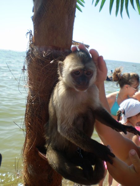 №19, Катерина Лапатанова, 37 лет, Мариуполь №19, Катерина Лапатанова, 37 лет, Мариуполь