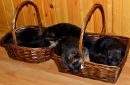 №31 Света Гончарова 01.04.1997: профиль, фото, статус - ВКонтакте