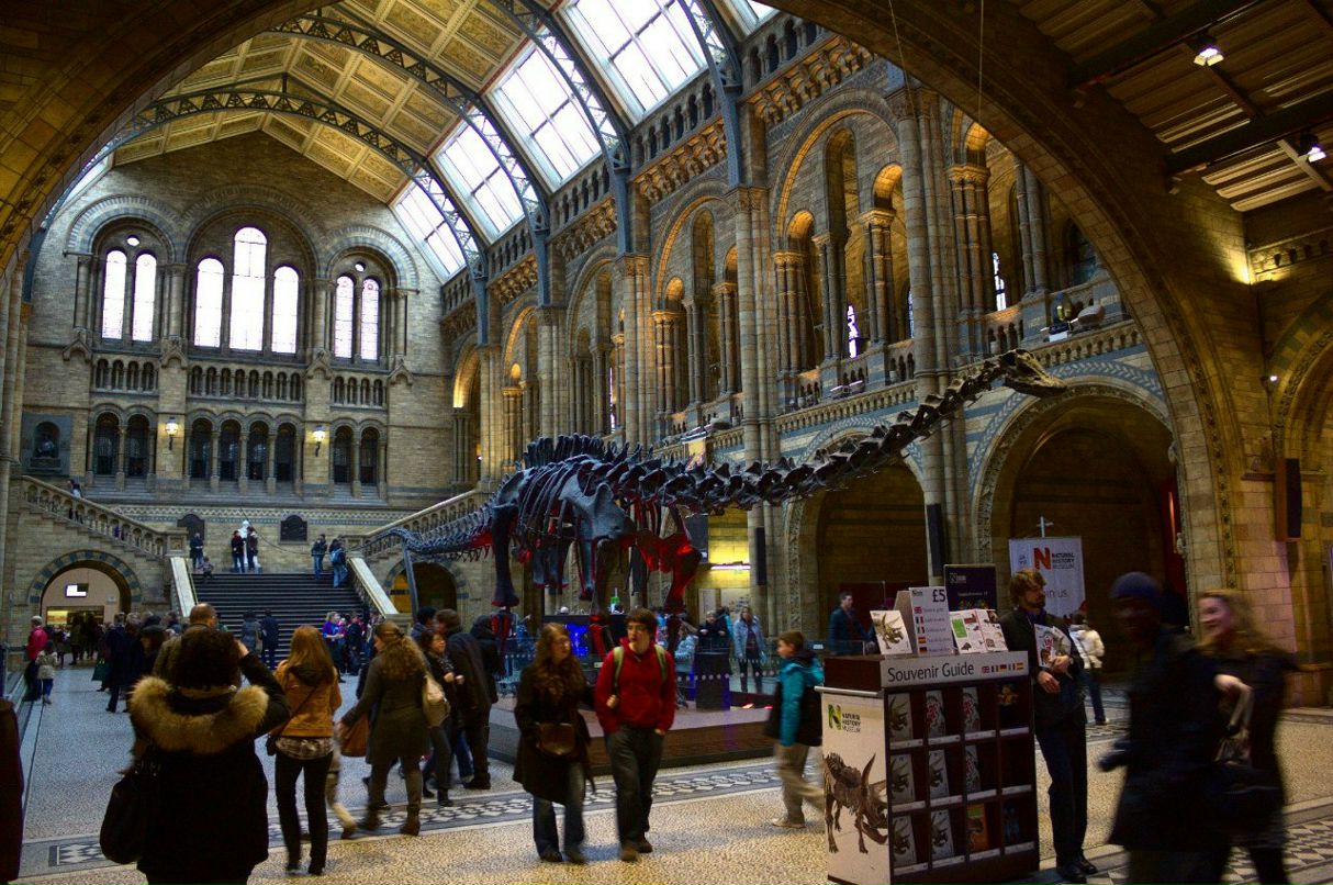 Angelo Costantino | Milano