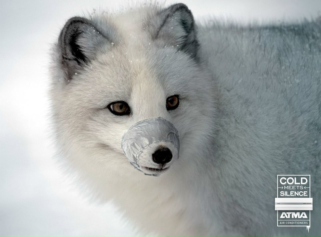 Илья Отрепьев Ильич | Москва