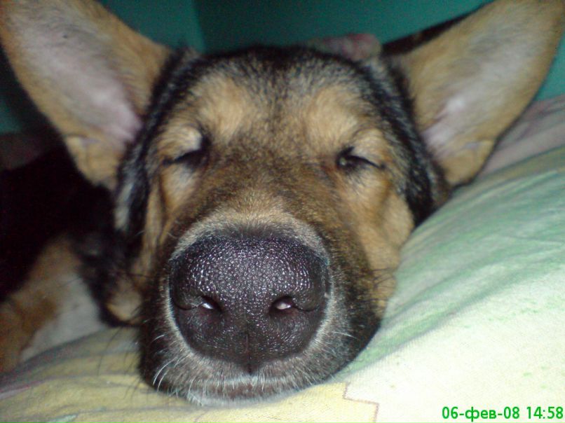 Ярослав Рогозин | Ярославль