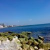Аватар: Людмила Питушенко