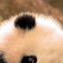 №111, Алина Деревянко, Харьков №111, Алина Деревянко, Харьков