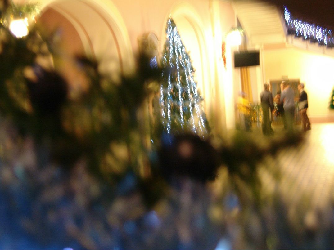 Рома Куршонков white | Санкт-Петербург