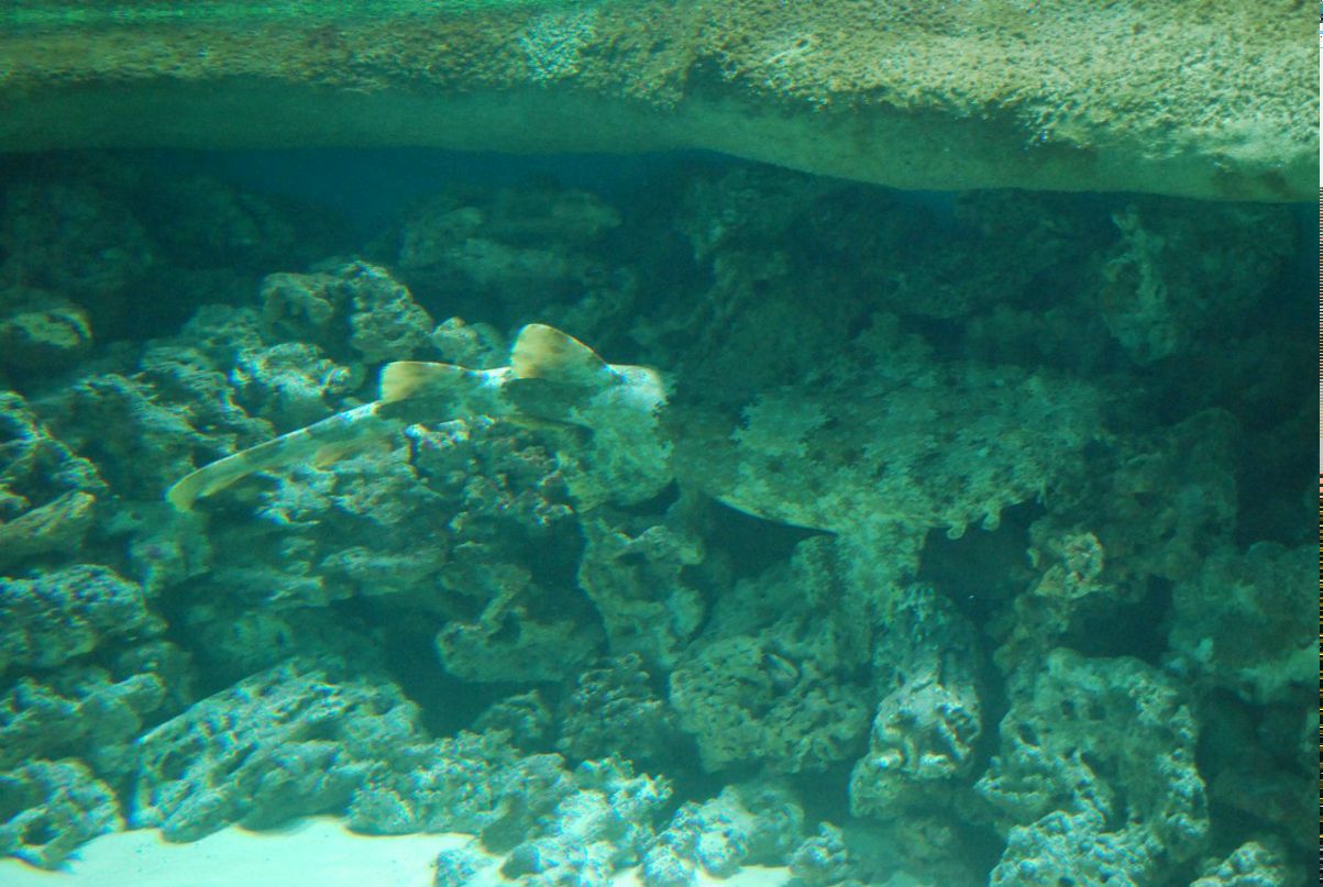 Анастасия Суббот | Москва