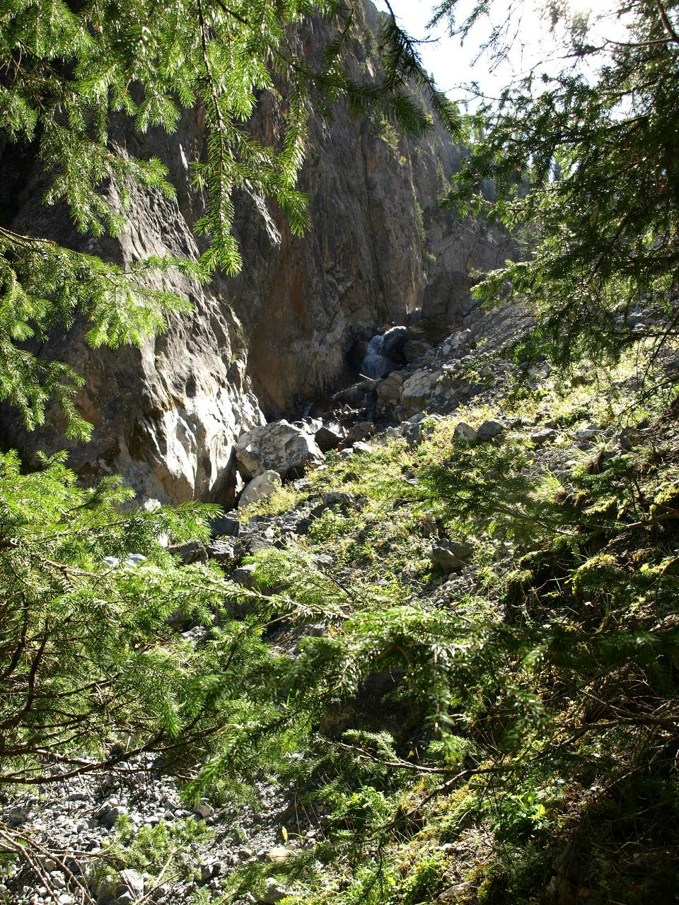 Павел Шамаков | Есик