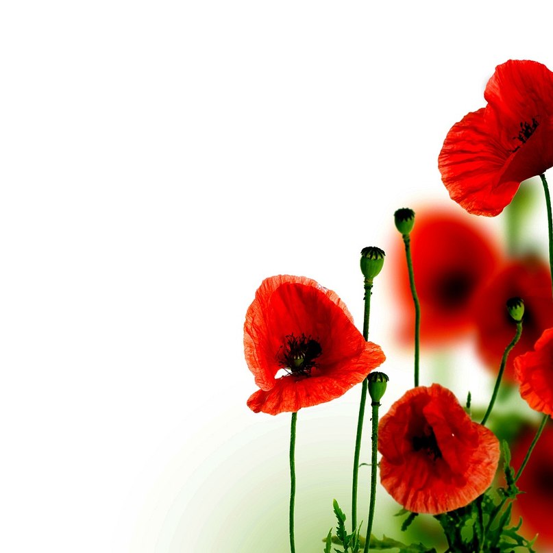 Таня Исаева | 