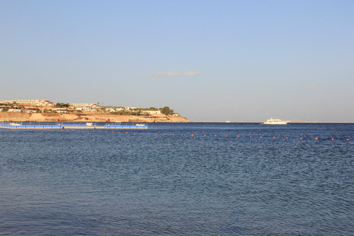 Шамиль Хусяинов | Москва