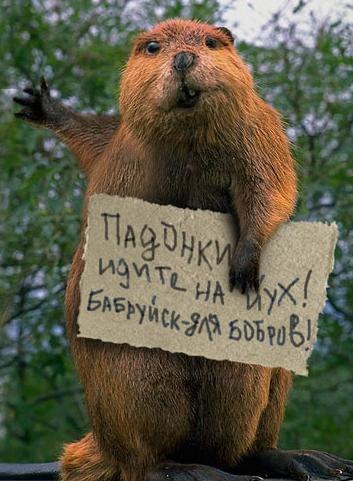 Евгений Биндюков Dreddweb | Никополь