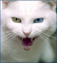 Николай Лабецкий Дмитреевич | Москва