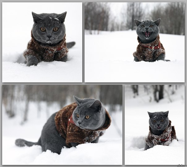 Алёна Вебер | Шадринск