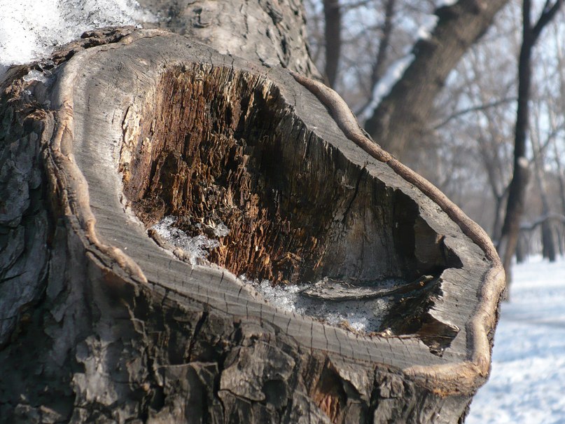 Денис Шембаков | Новокузнецк