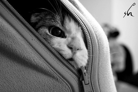 Anna Gromova | Николаев