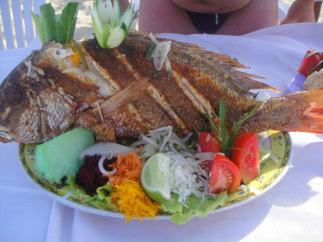 Денис Кондратьев | Санкт-Петербург