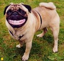 Фотография Бабенко Игоря